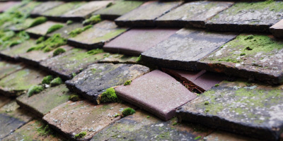 Parmoor roof repair costs